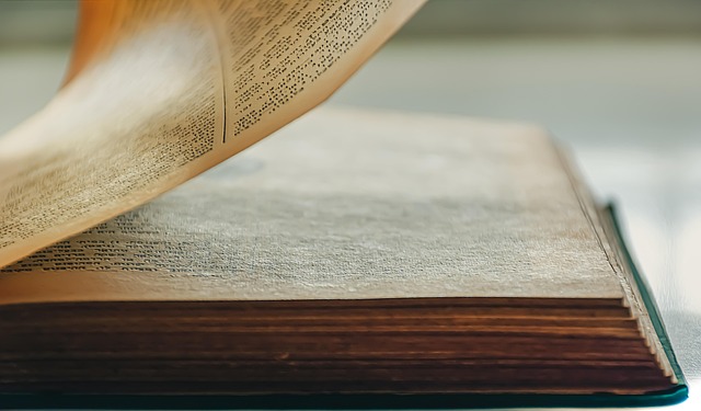 Content og keywords: Hemmelighederne bag vild seo-succes